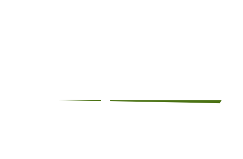 TEOS OLIVE