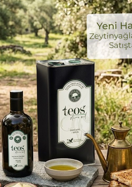 Teos Olive Oil 5000 ml Soğuk Sıkım Premium Natürel Sızma Zeytinyağı